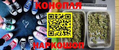 гидра Туймазы