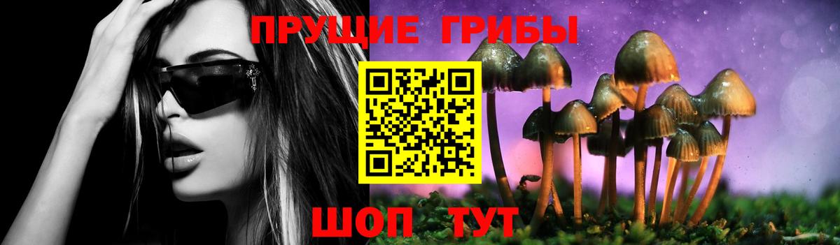 Галлюциногенные грибы Cubensis Минусинск